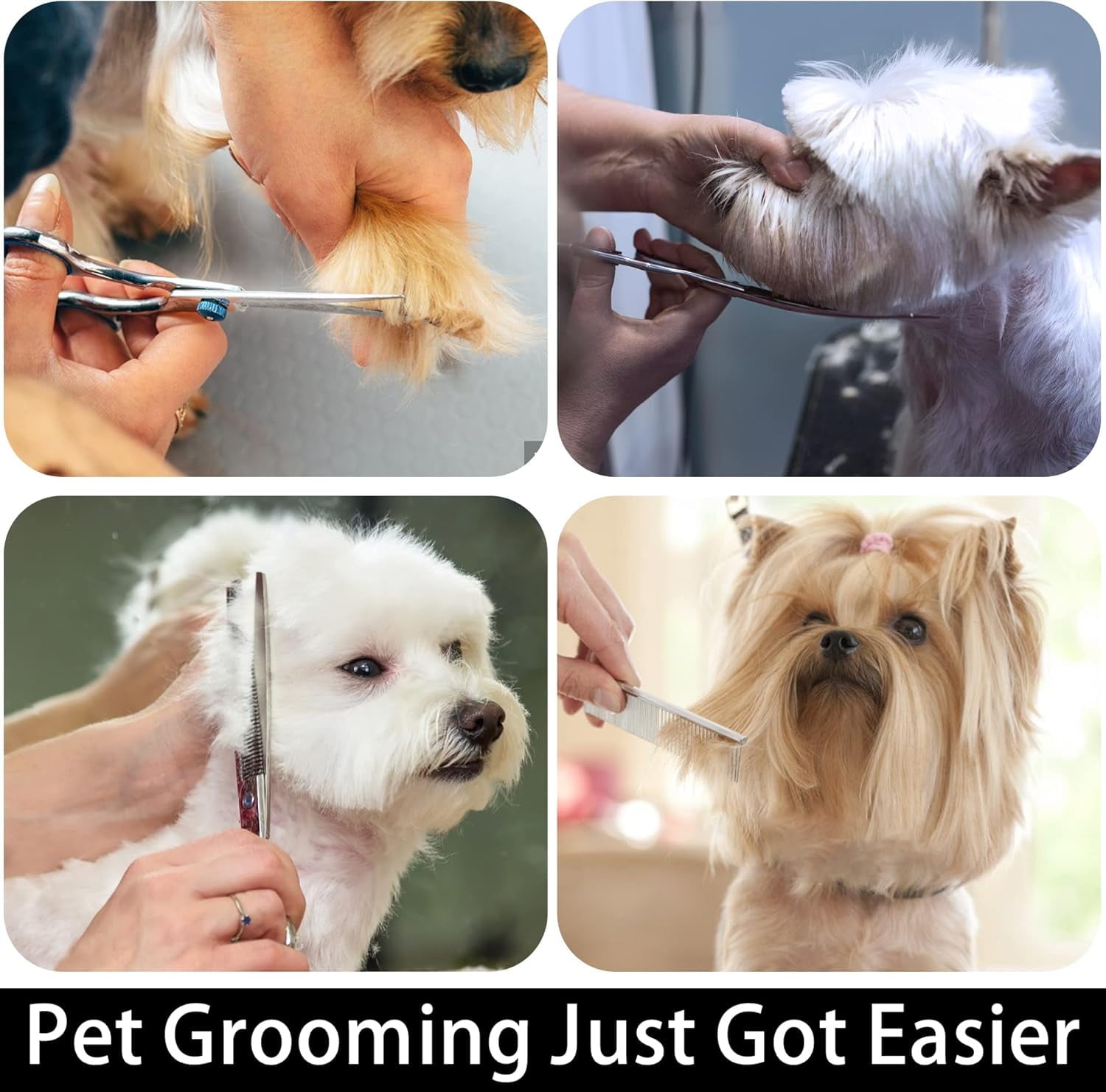 with Safety Round Tip,Pet  Kit, Shears for ,Incude Thinning,Curved  and Comb for dogs, cats.Suitable for The Right Hand