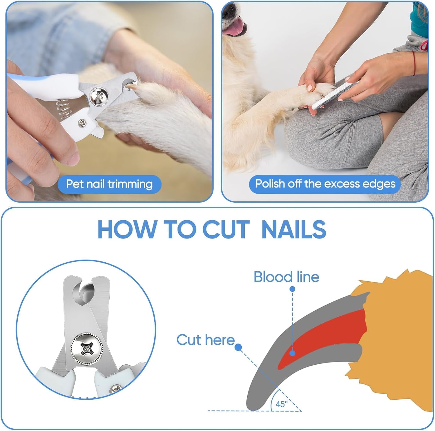 with Safety Round Tip,Pet  Kit, Shears for ,Incude Thinning,Curved  and Comb for dogs, cats.Suitable for The Right Hand